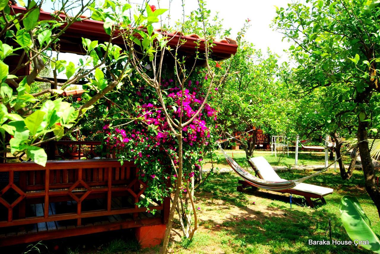 Guest house Baraka House