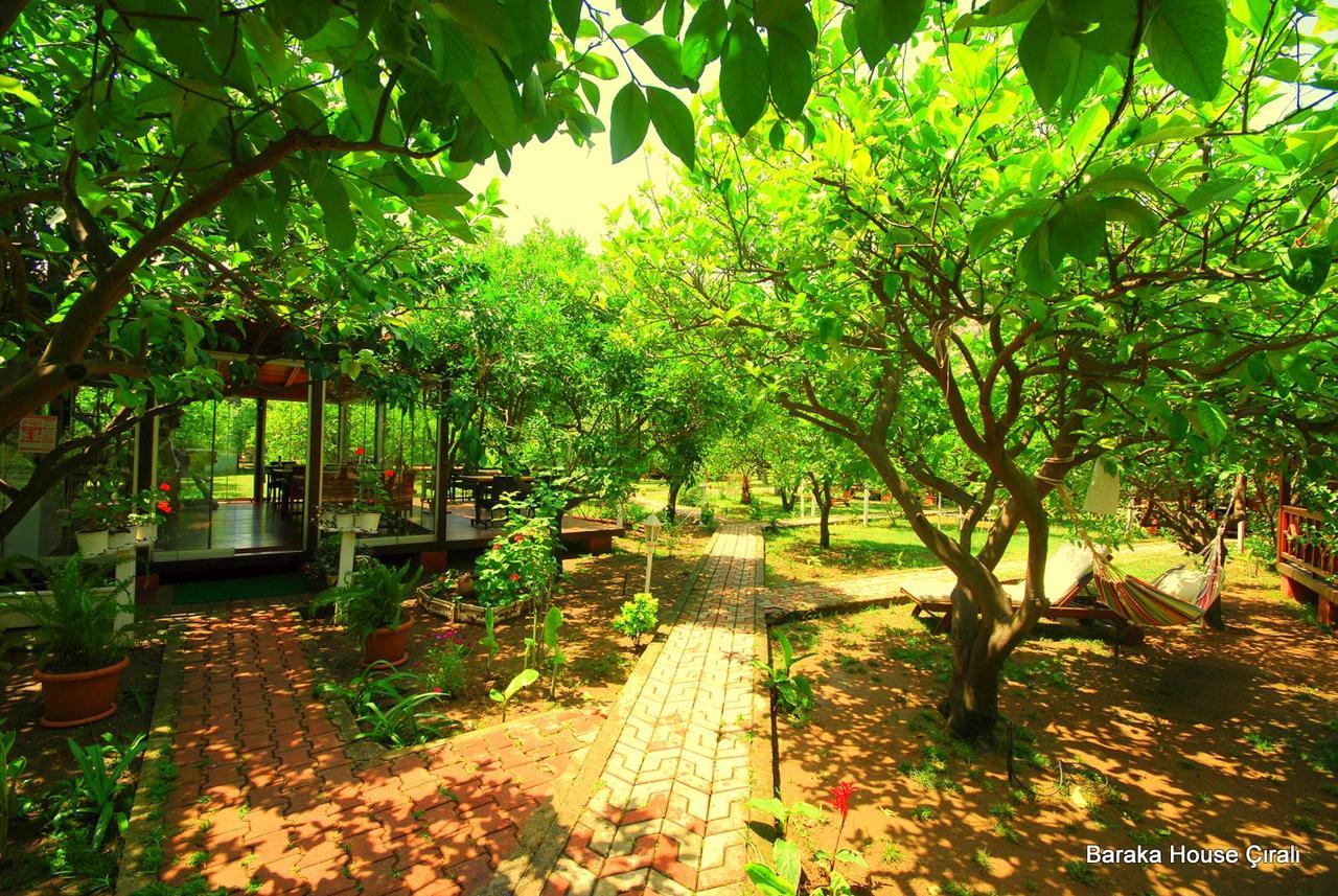 Guest house Baraka House 2*