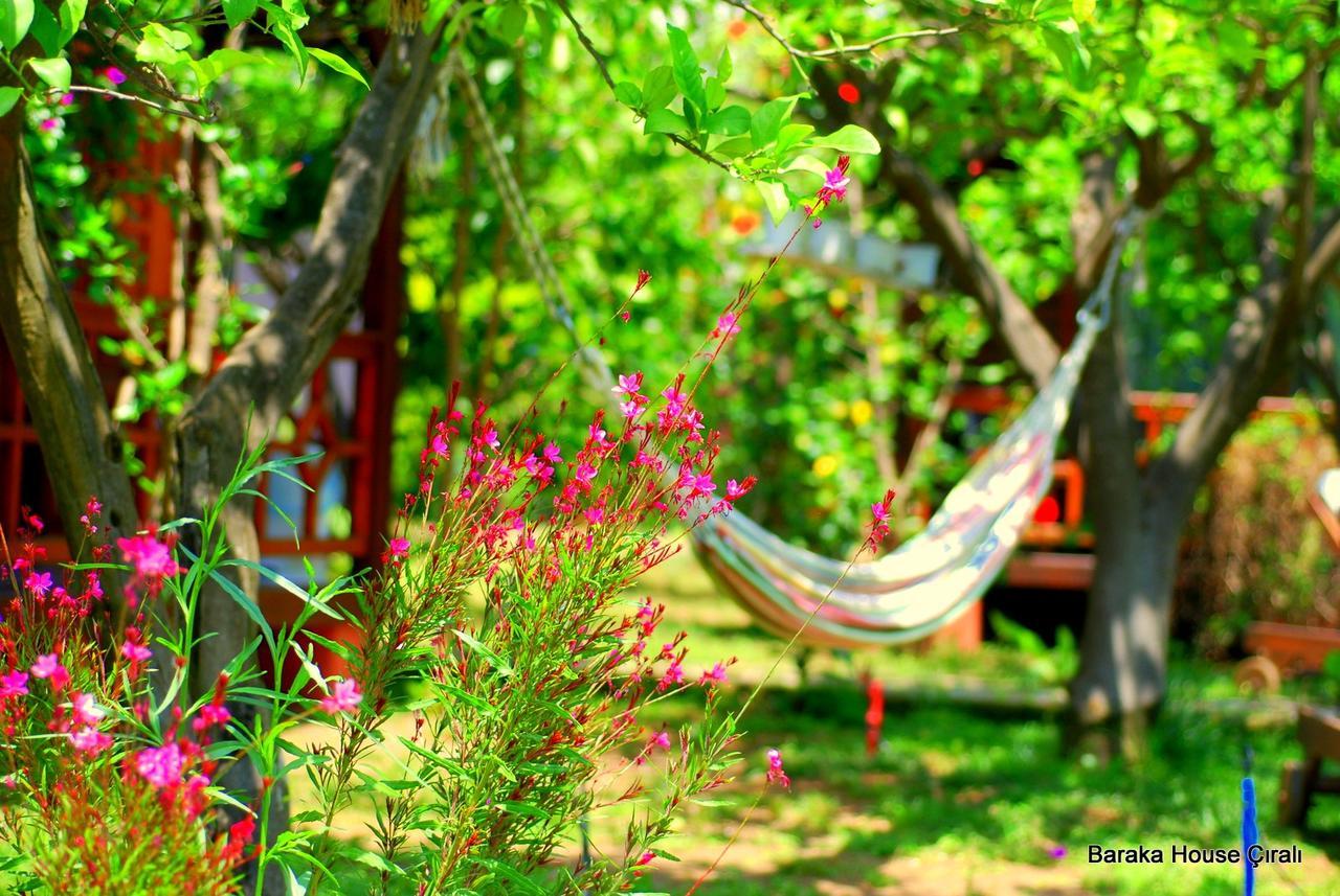 Baraka House Guest house Cirali
