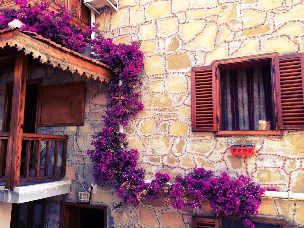 Guest house Tas