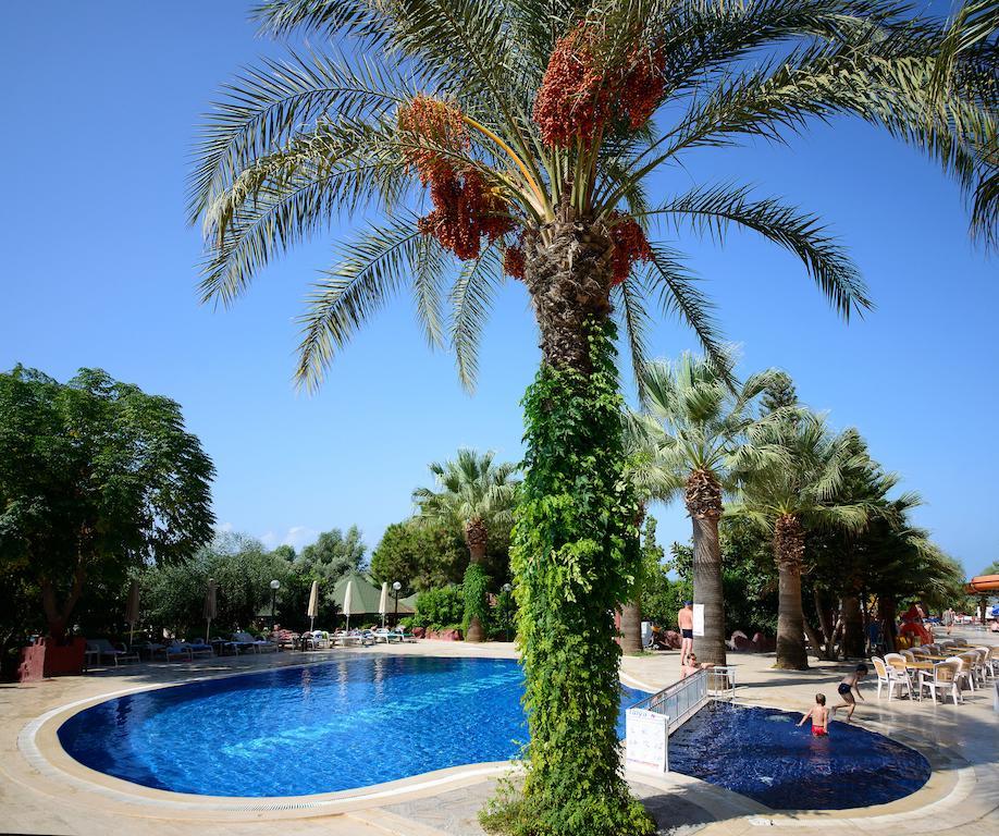 Hotel Mc Mahberi Konakli