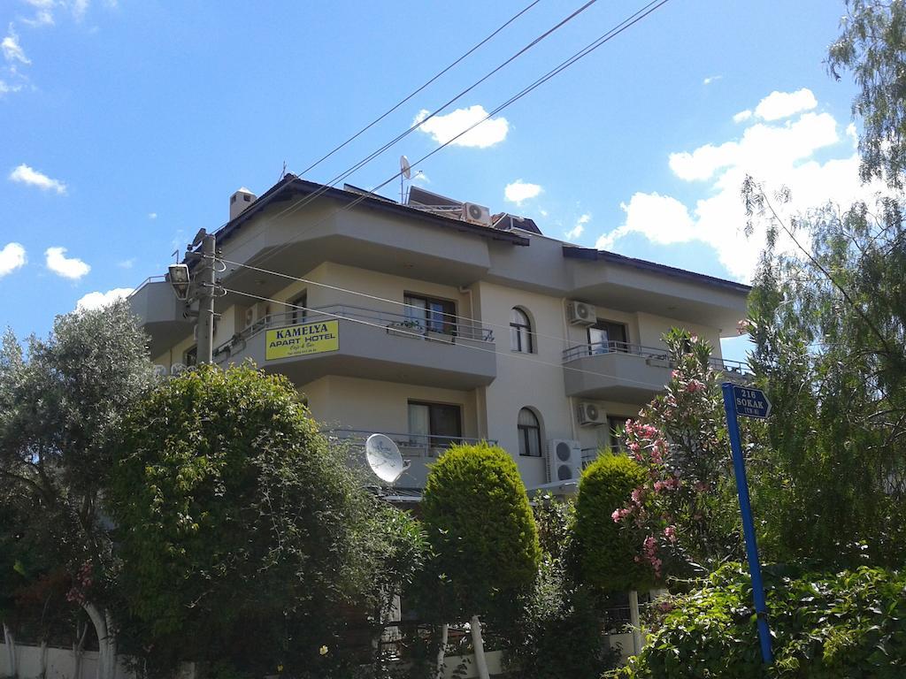 Kamelya