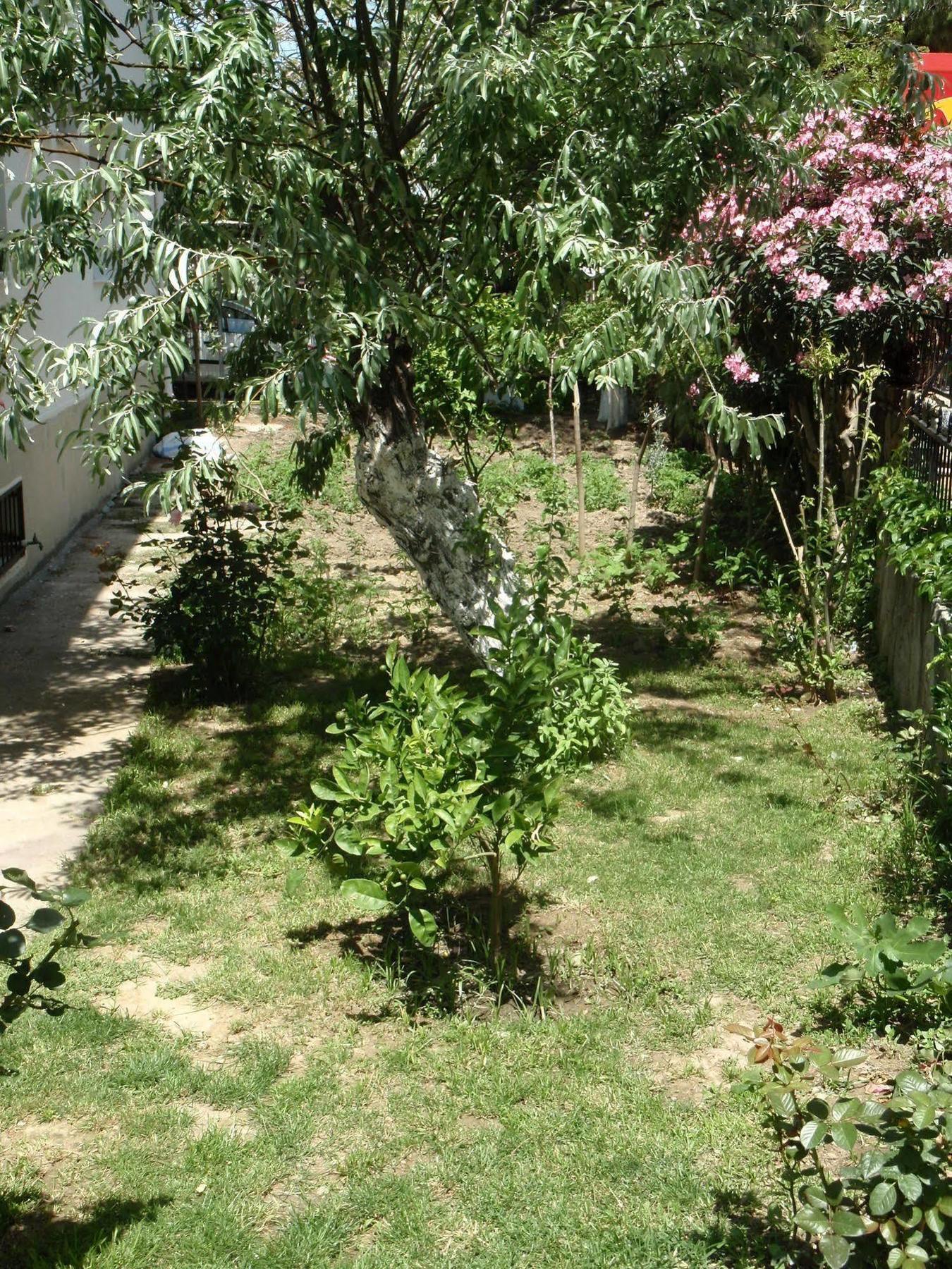 Liman Kusadasi
