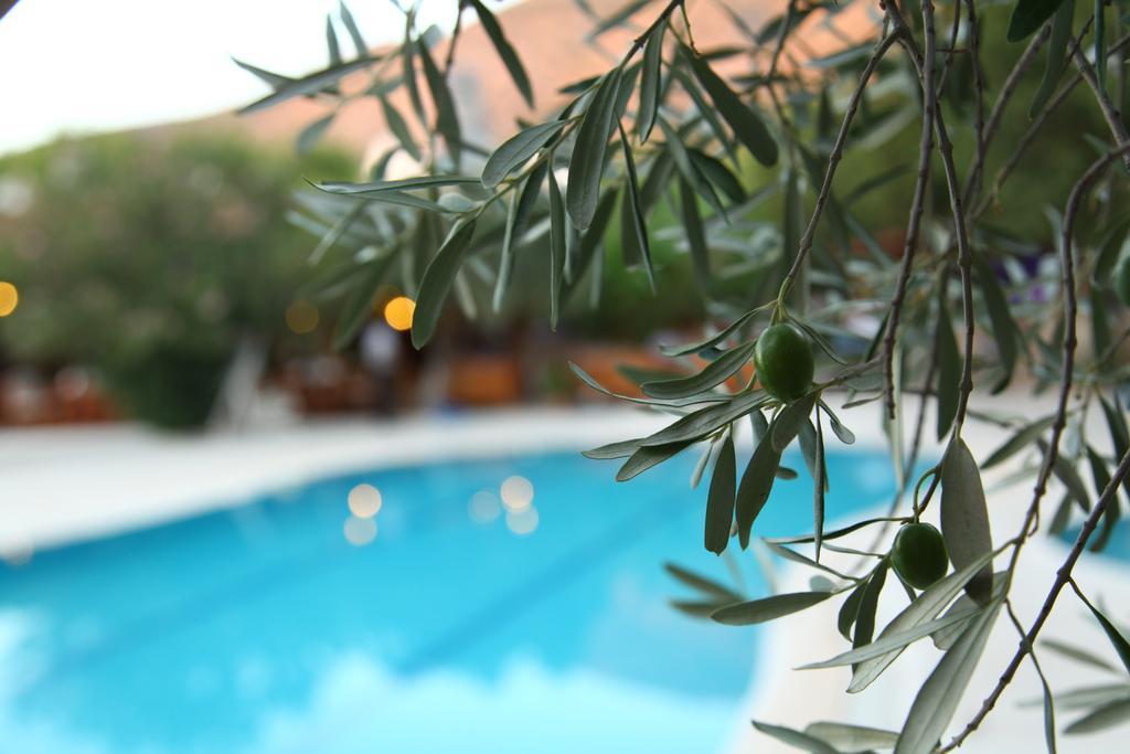 Gokcen Hotel Oludeniz