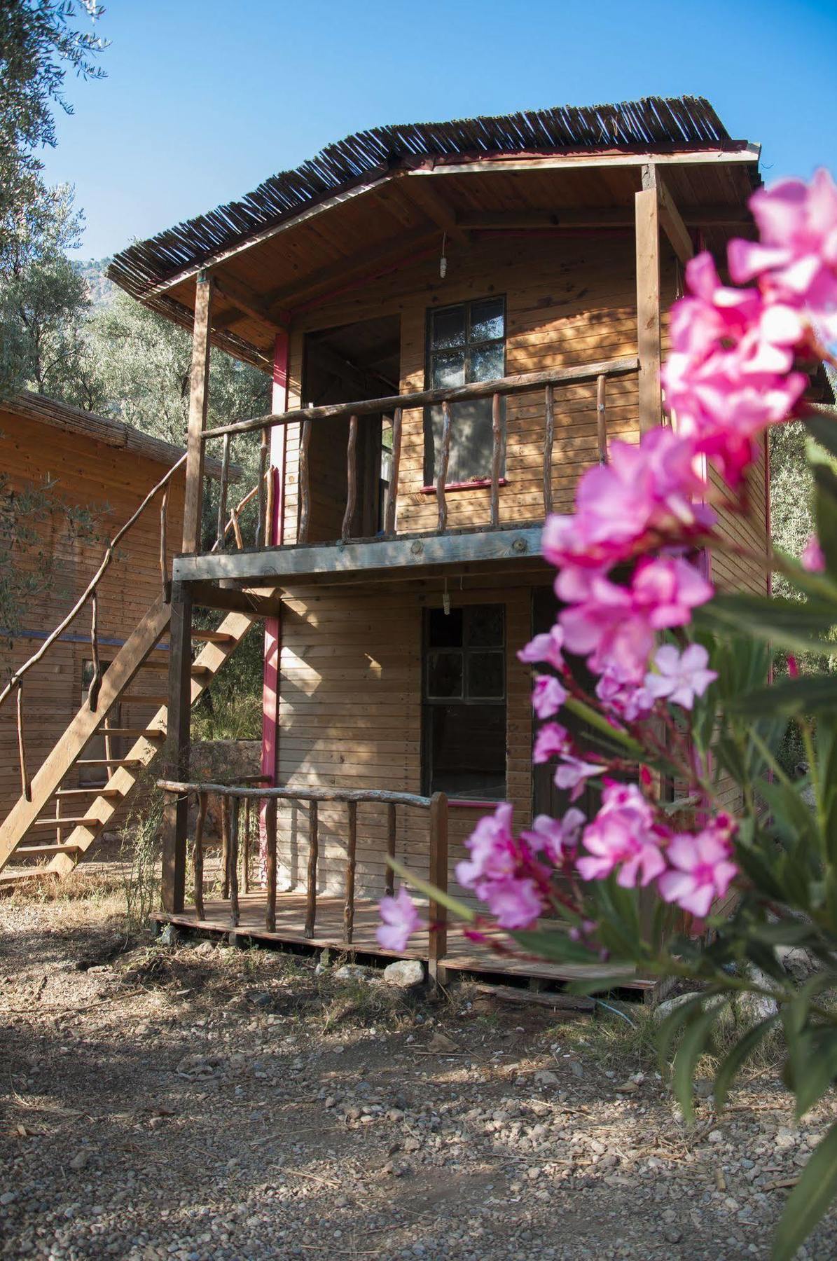 Inn Chakra Kabak Faralya