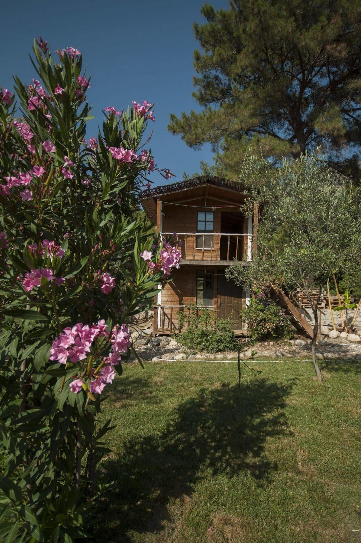Chakra Kabak Inn