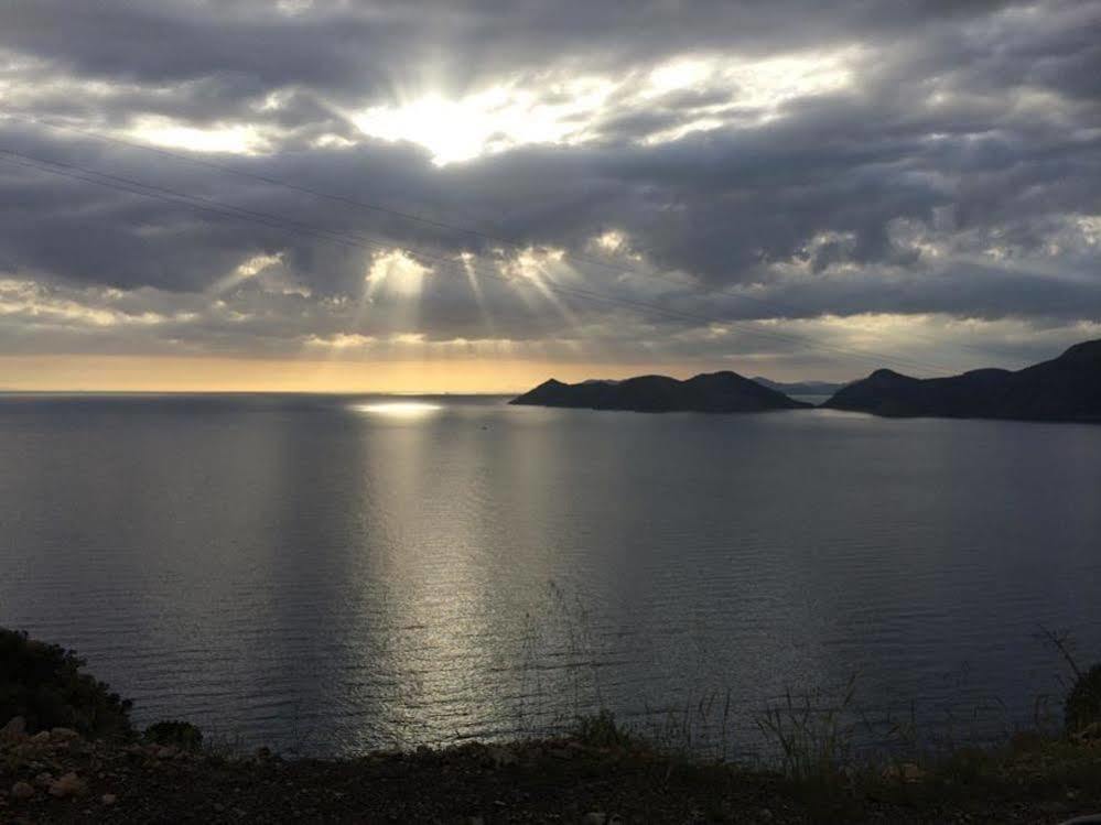 Chakra Kabak