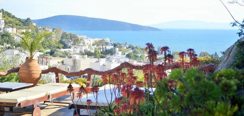 The Aegean Gate (adults Only) Hotel