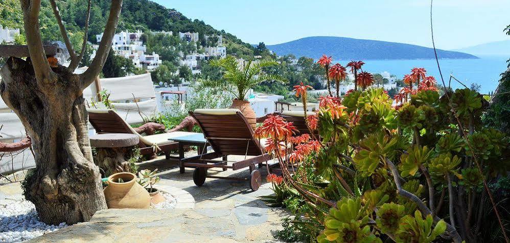 The Aegean Gate (adults Only) 4* Bodrum