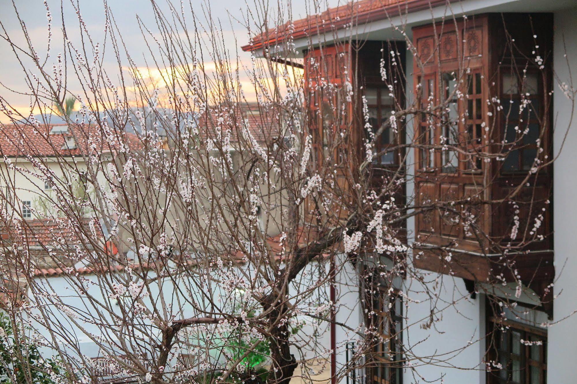 Hotel Ephesus Paradise 3*