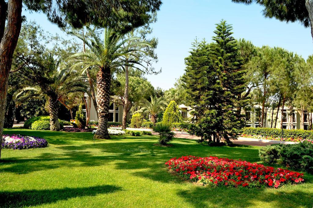 Tui Magic Life 5*