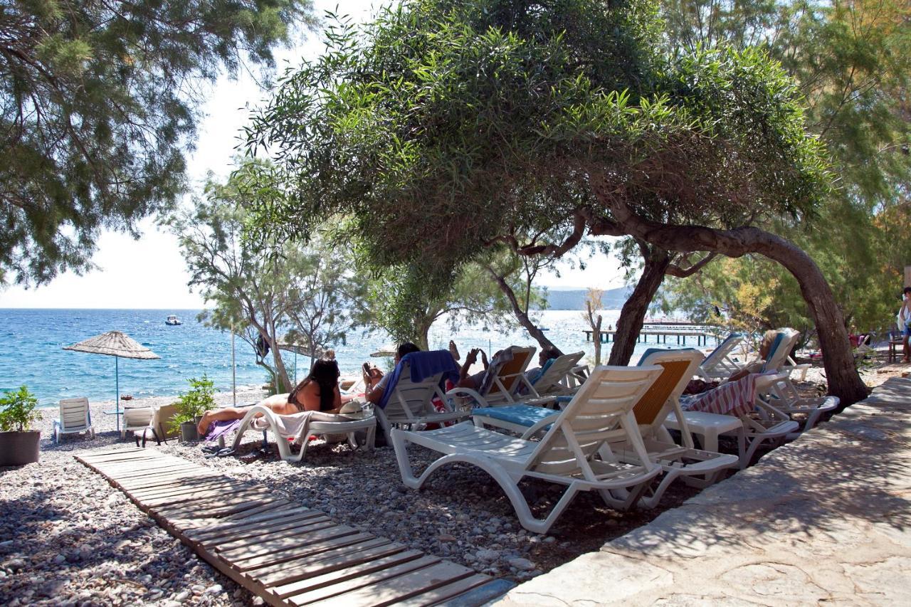Guest house Sahin & Restaurant Yaliciftlik