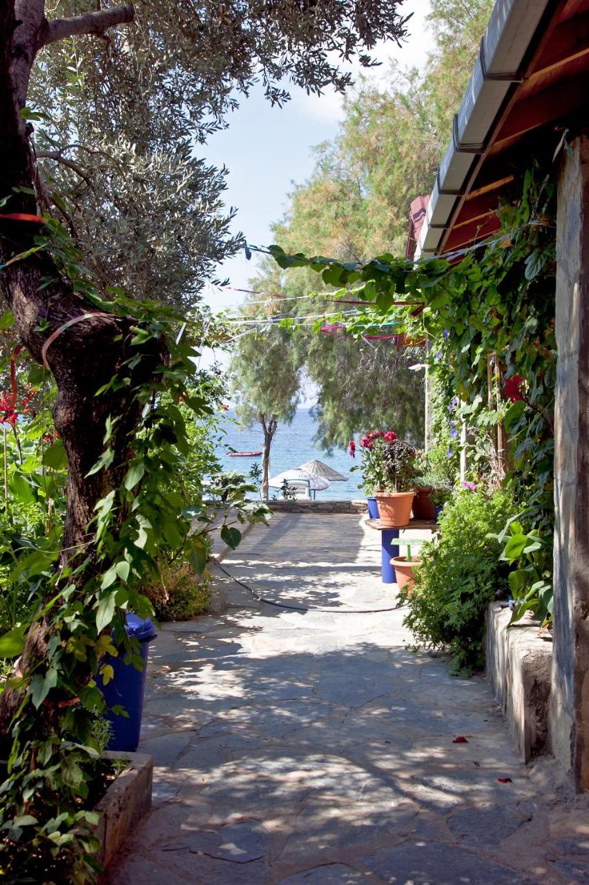 Sahin & Restaurant Guest house Yaliciftlik