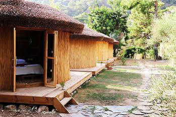Chakra Kabak 3* Faralya