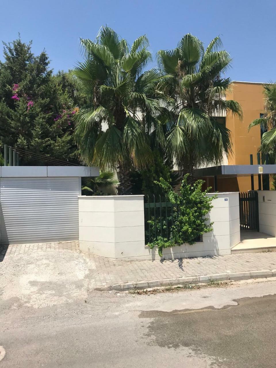 Diva Kemer
