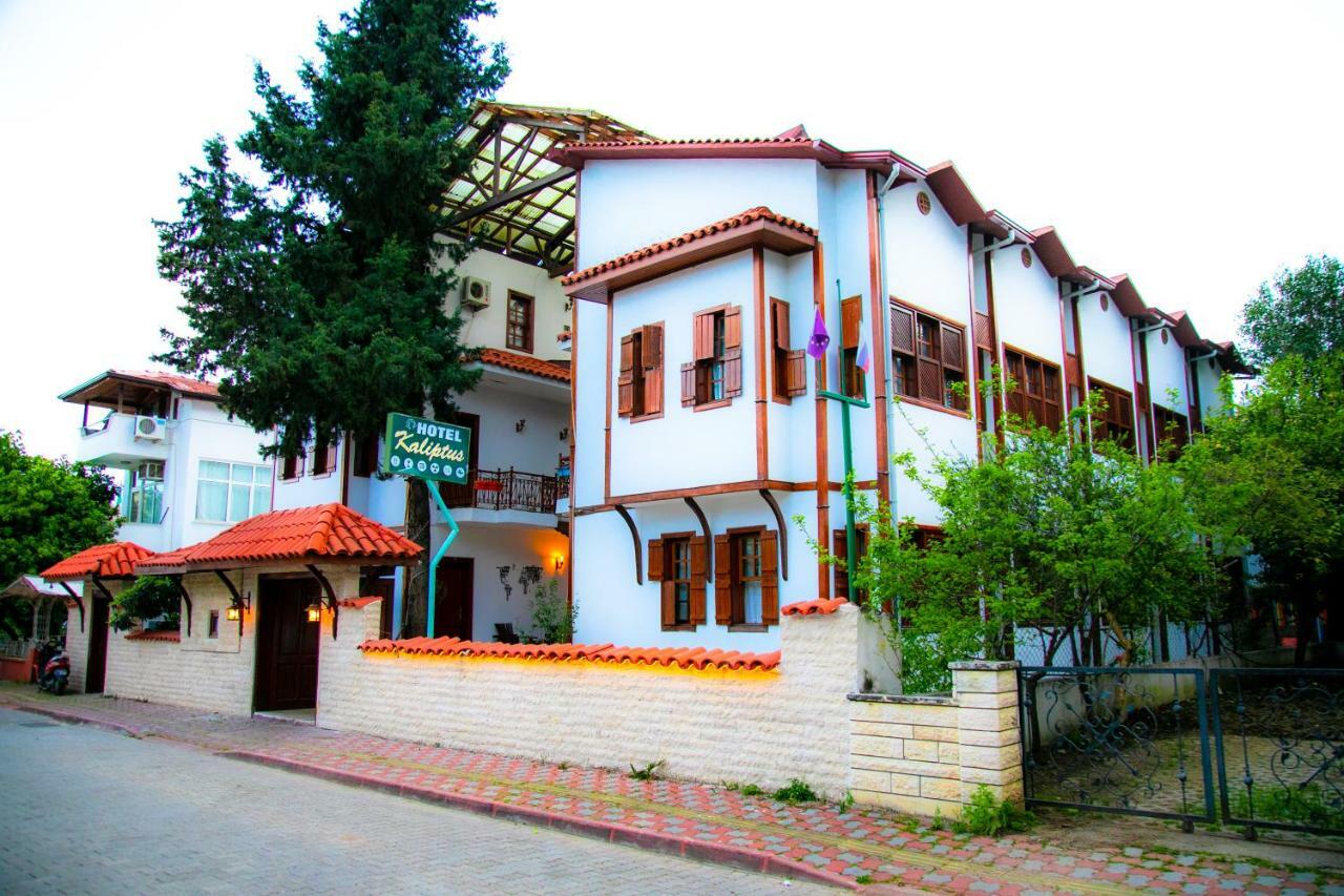 Kaliptus Kemer