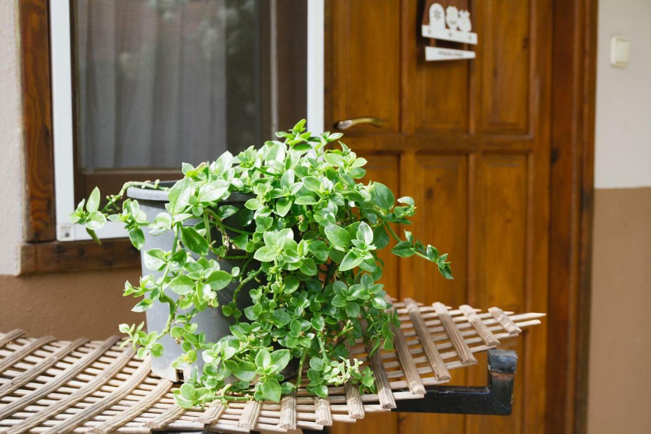 Homestay Village Garden