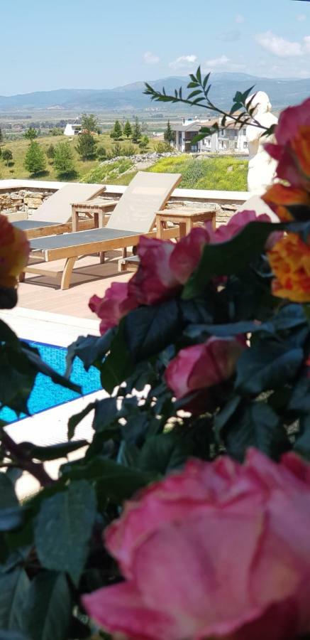 Hotel Vinifera Ephesus Selcuk