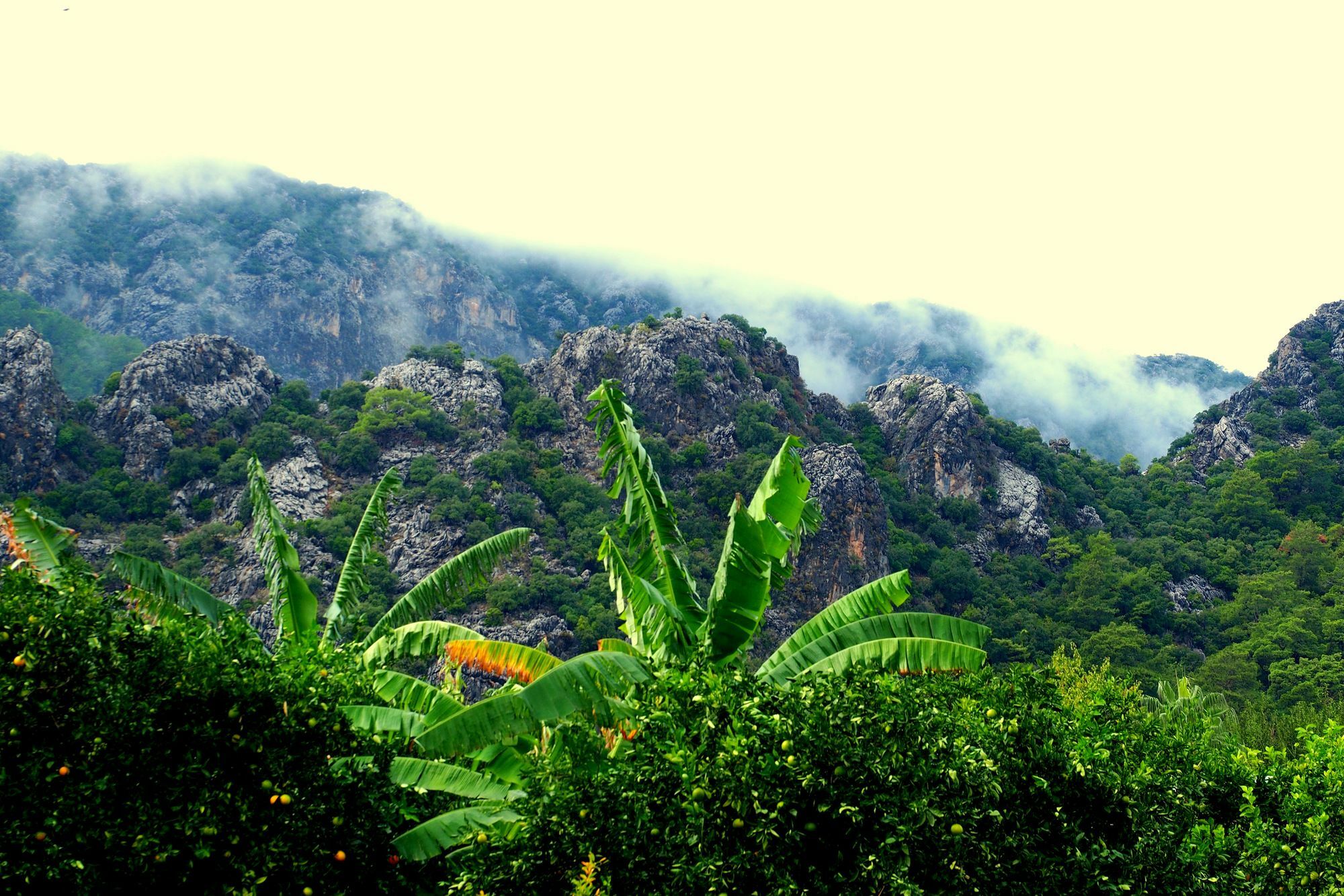 Guest house Baraka House 2*