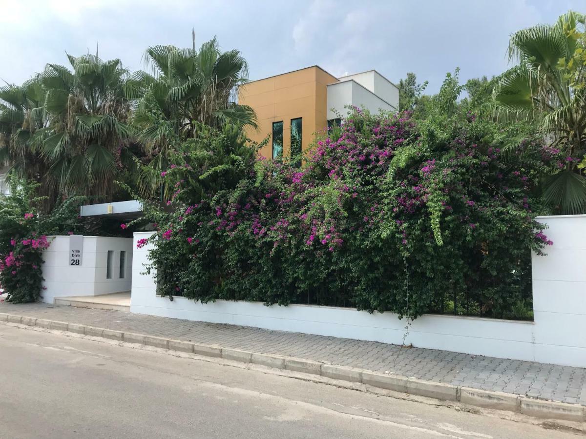 Diva Villa