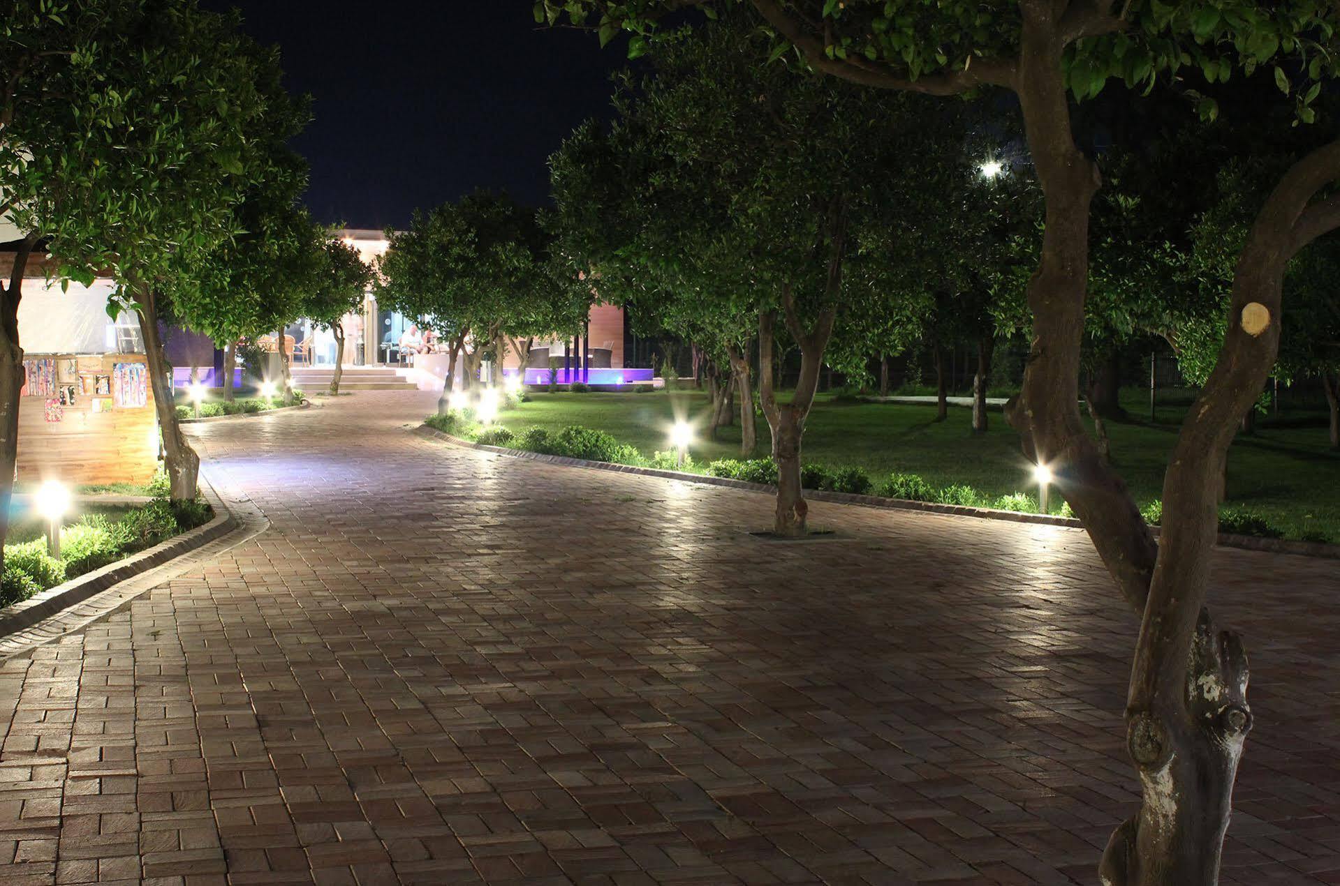 Monna Roza Garden
