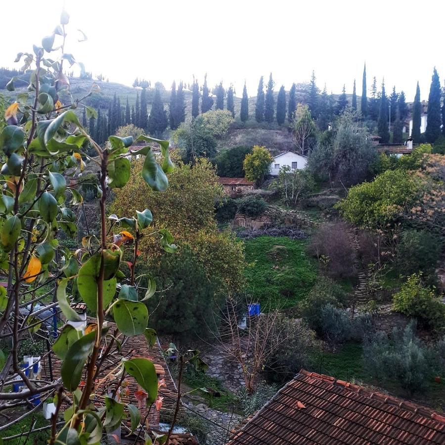Guest house Sirince Dogadaki Evler