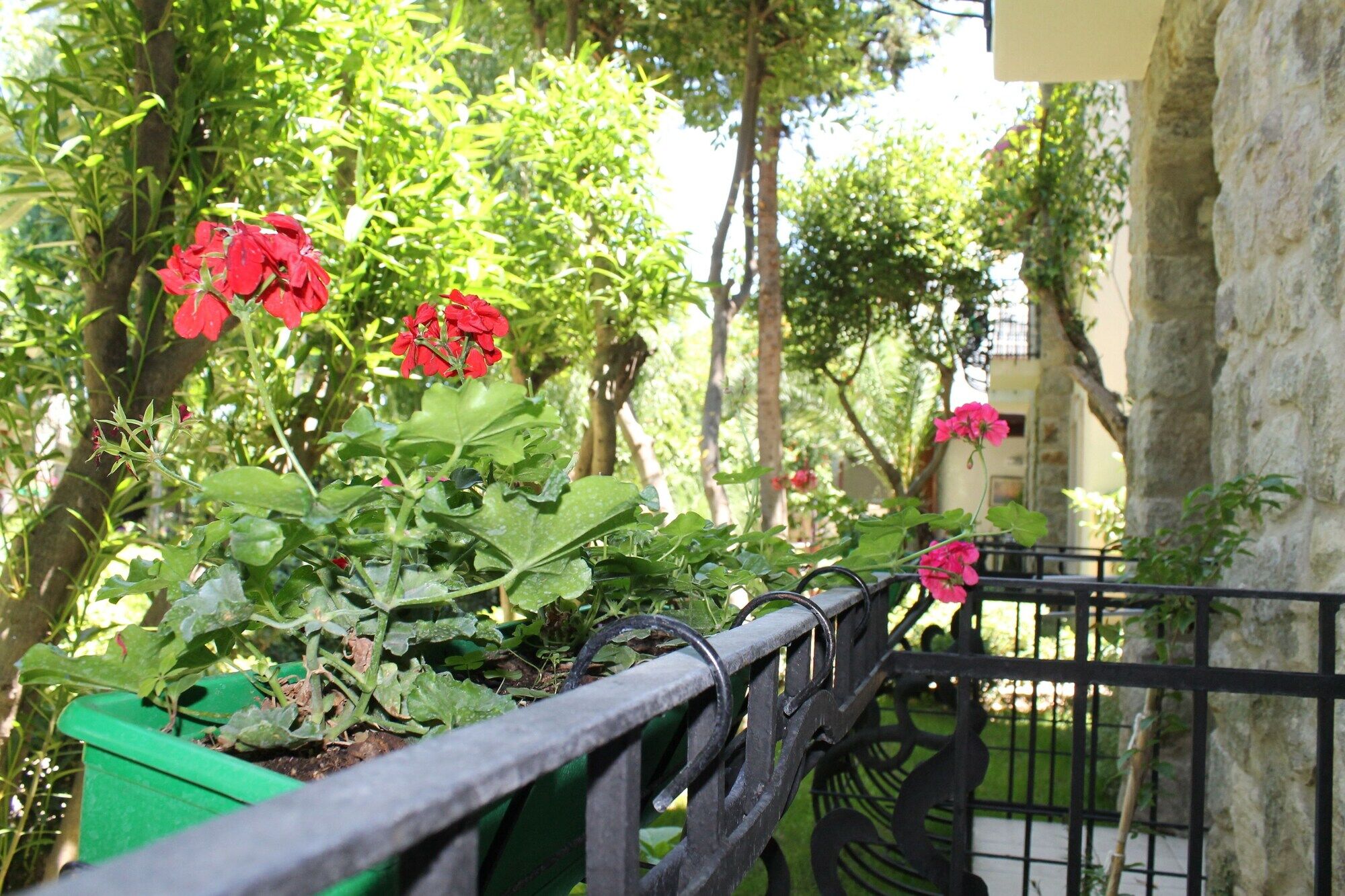 Bella Garden Hotel