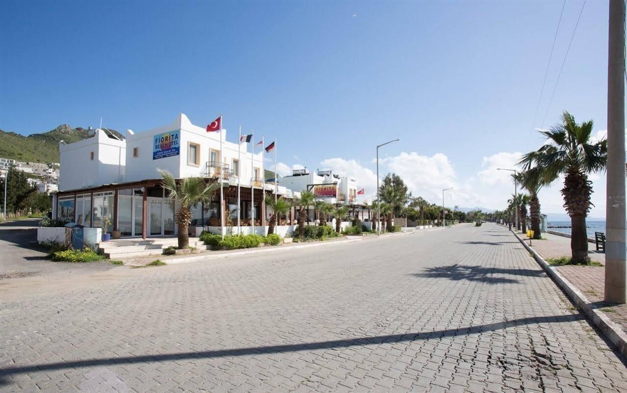 Alta Turgutreis