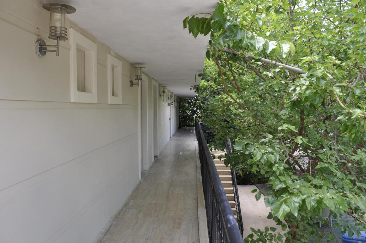 Hotel Park