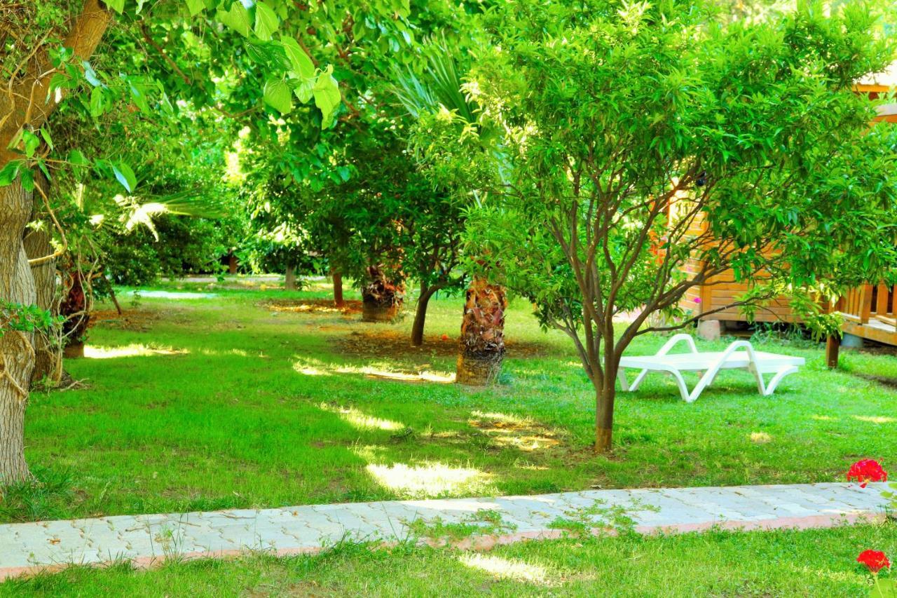 Simge Guest house Cirali