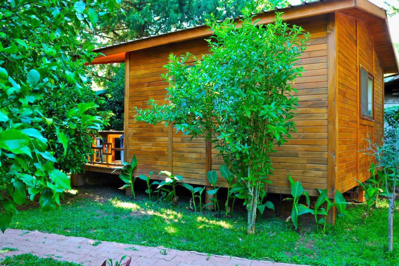 Guest house Simge 2*