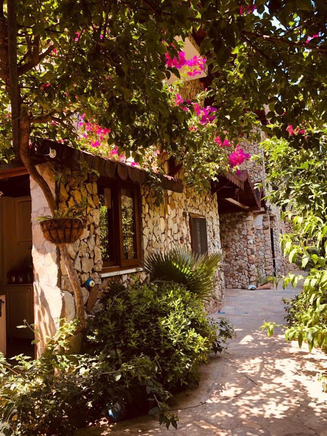 Monte Hotel 3*