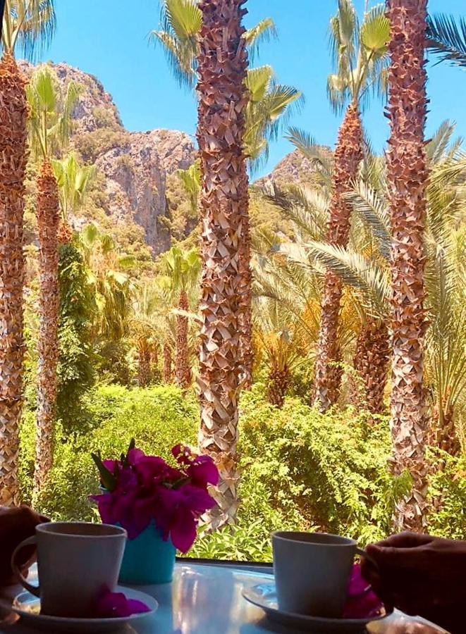 Hotel Monte 3*