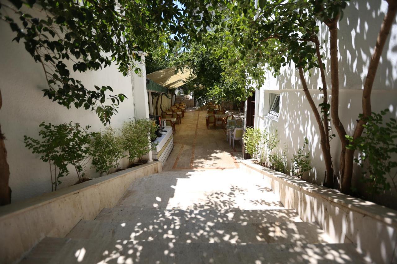Hotel Paradise 3*