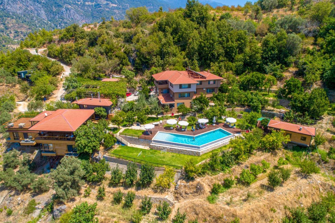 Avena Mountain Hotel - Adults Only