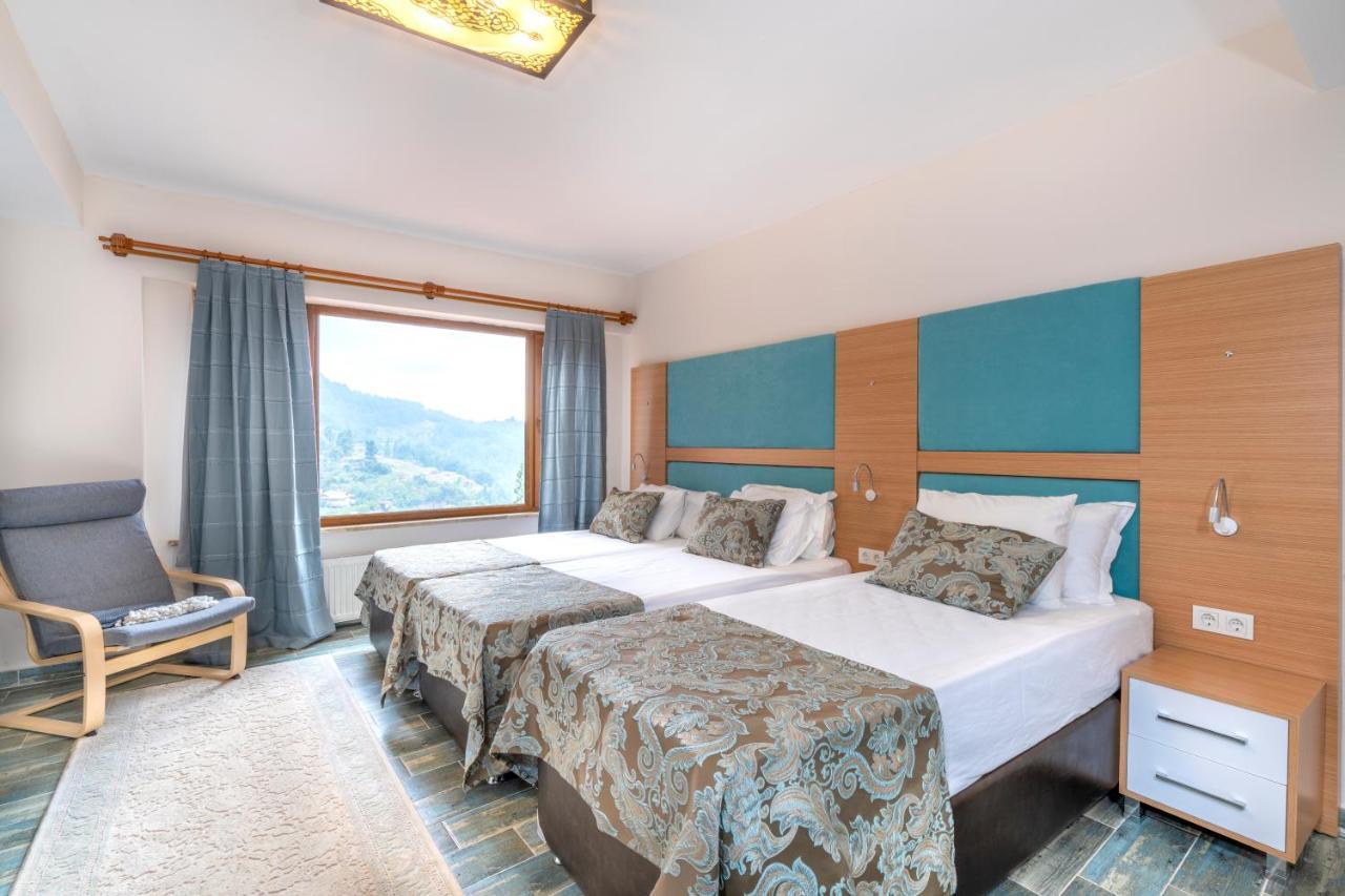 Avena Mountain Hotel - Adults Only Hotel *