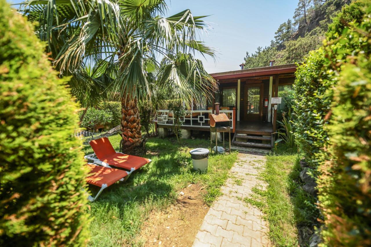 Zeytin