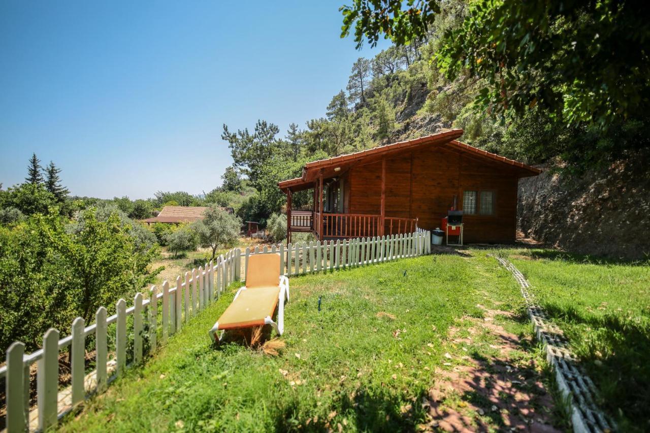 Zeytin Holiday park