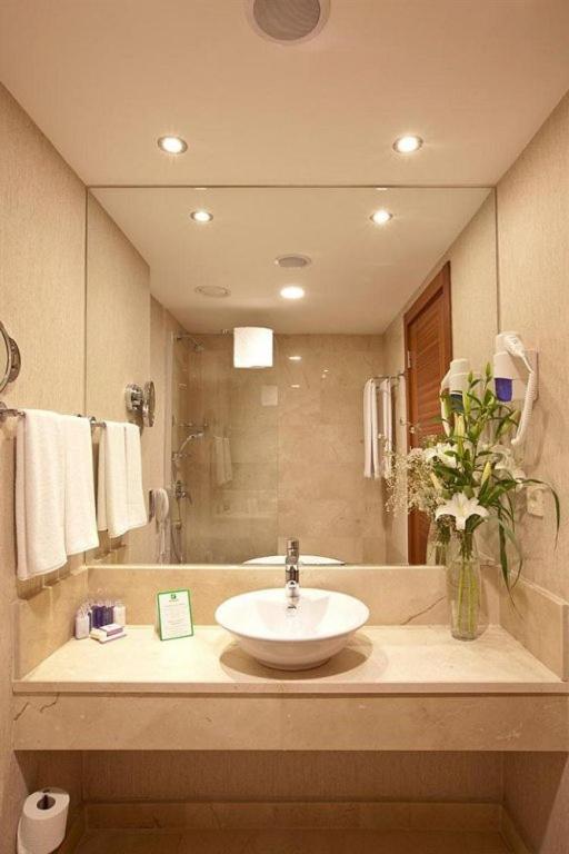 Hotel Gebze - Asia, An Ihg