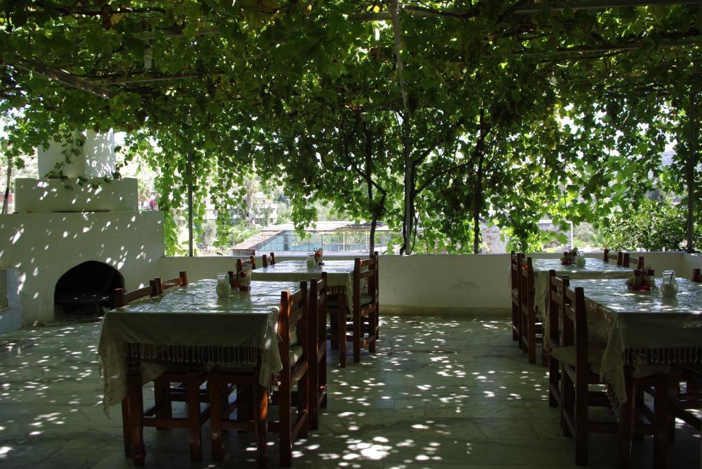 Sulo * Patara