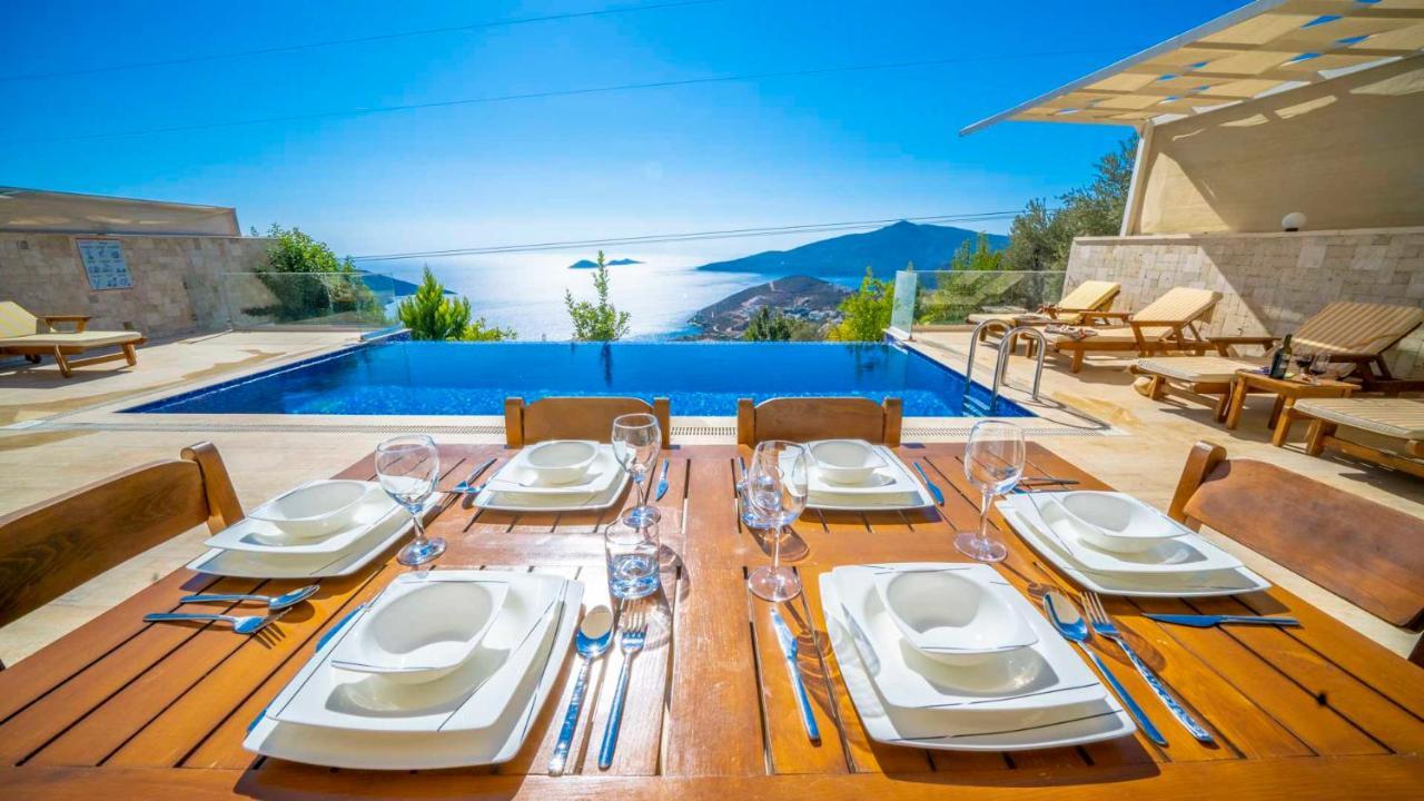Eco Palmiye