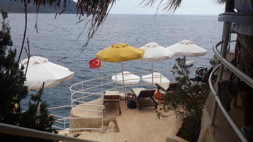 Caretta Kalkan