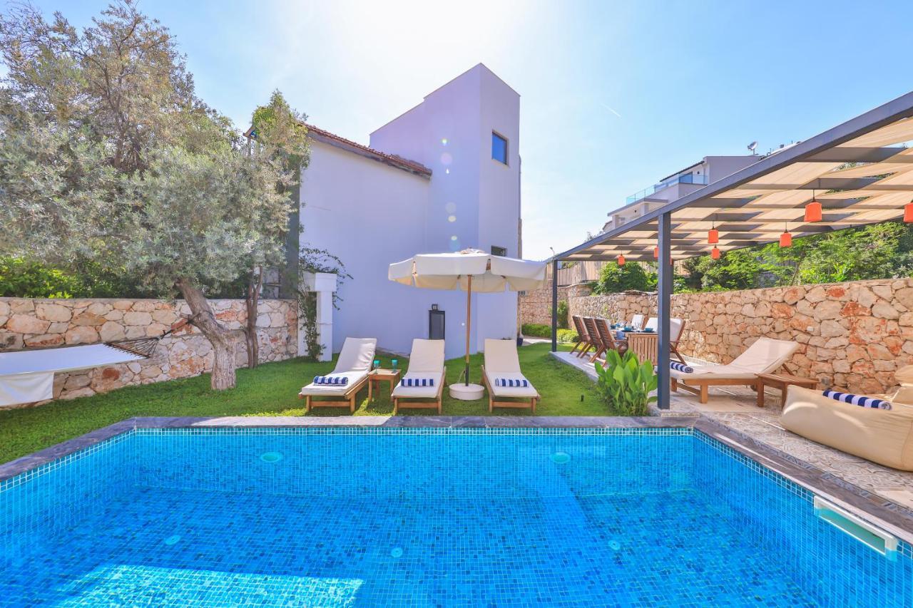 Roxy 3 Bedroom With One Of The Unique Gardens In Villa