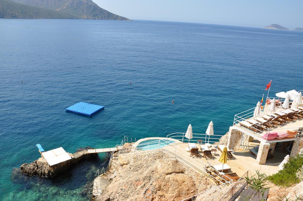 Caretta Kalkan
