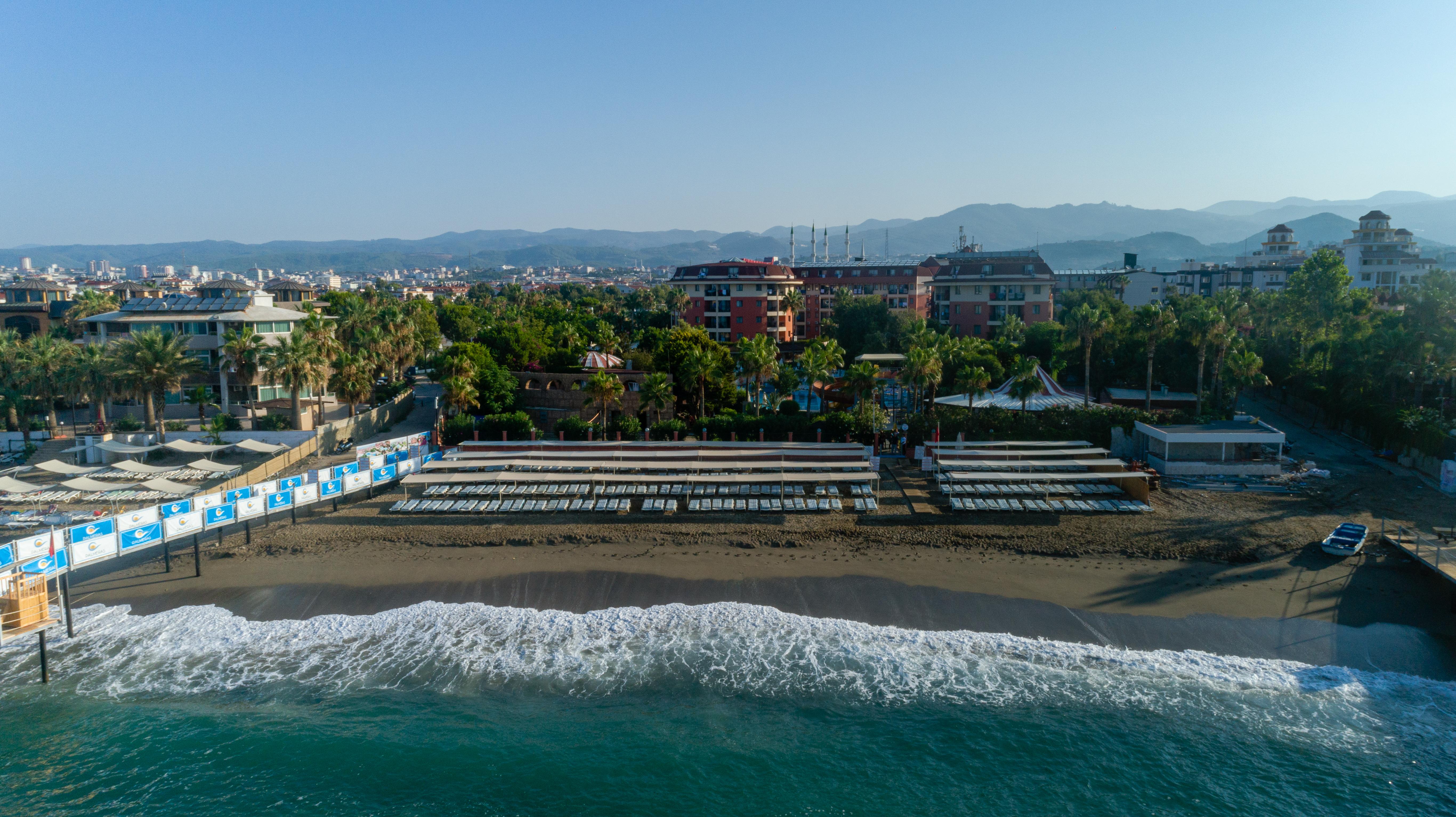 Palmeras Ultra 5*