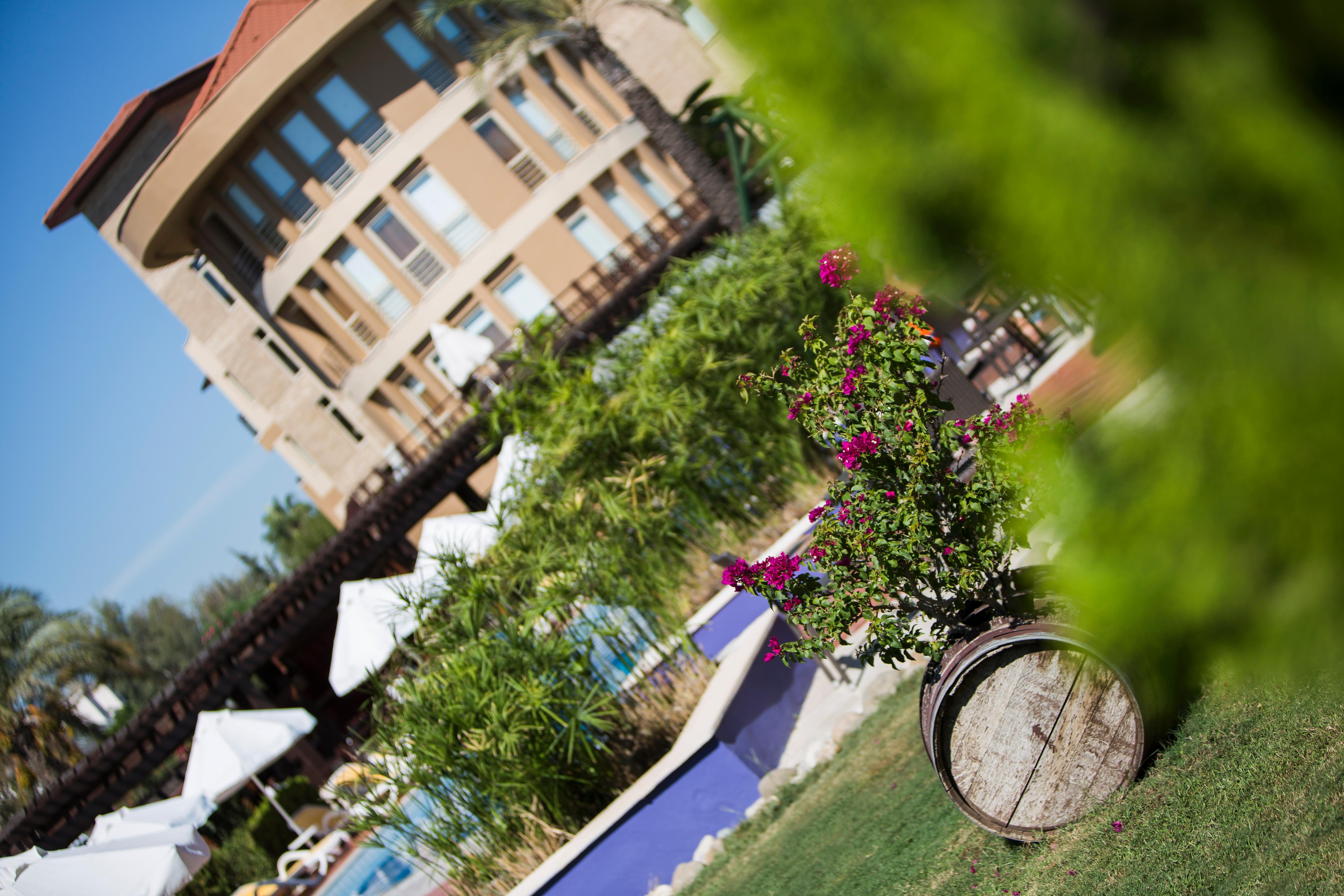 Xanthe & Resort Evrenseki
