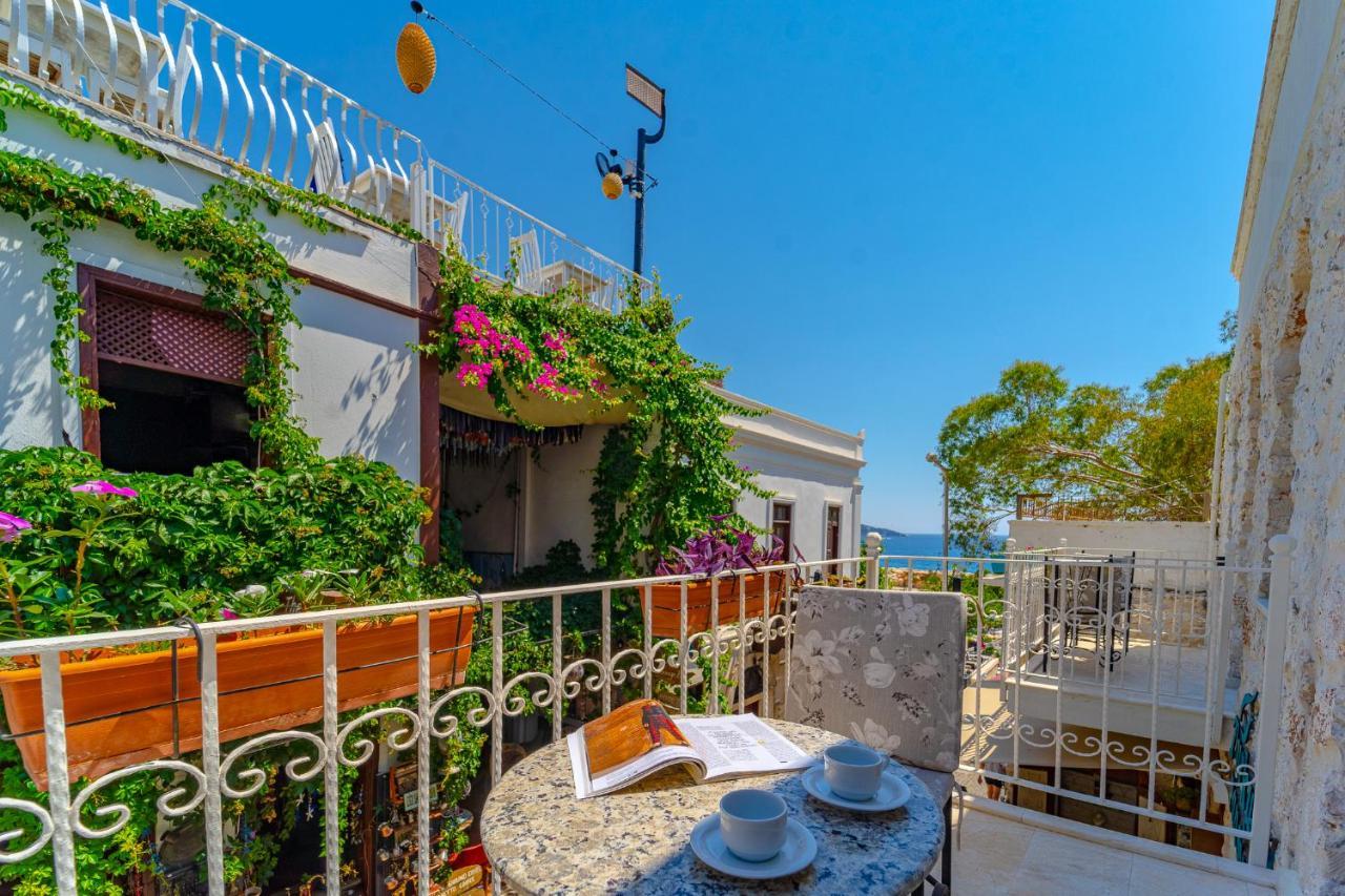 Turkuaz * Kalkan