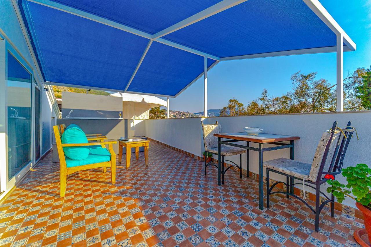 Turkuaz Kalkan