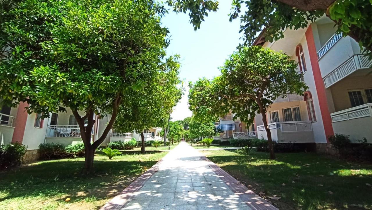 Hotel Sirma 4*