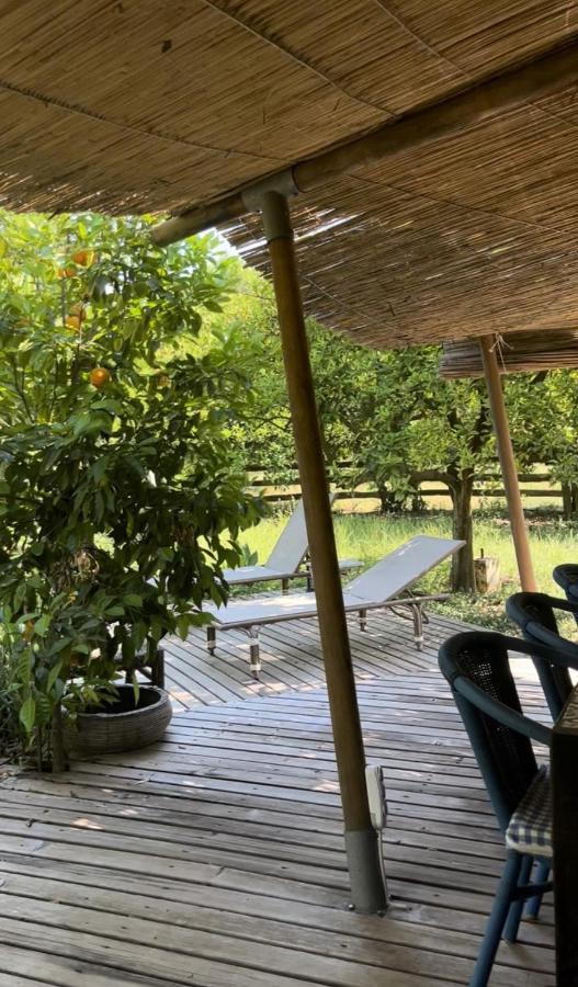 Luxury tent Campo Portakal Eco Glamping *